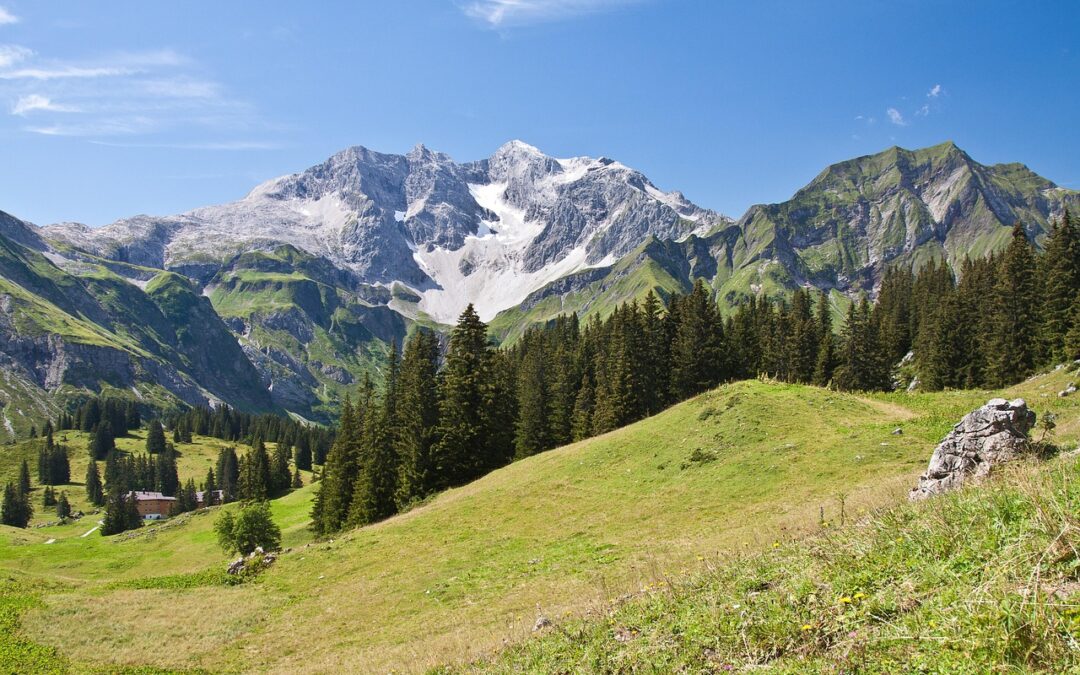 Vorarlberg Rondreis 290 km